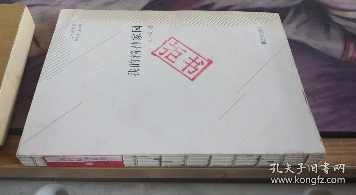 文集·第七卷·杂文集:我的精神家园 王小波 著 / 北京联合出版公司