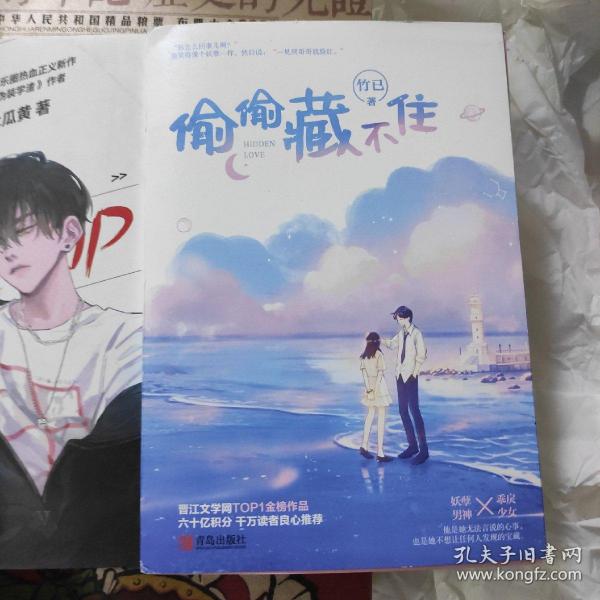 偷偷藏不住全二册竹已晋江金榜作品段嘉许vs桑稚