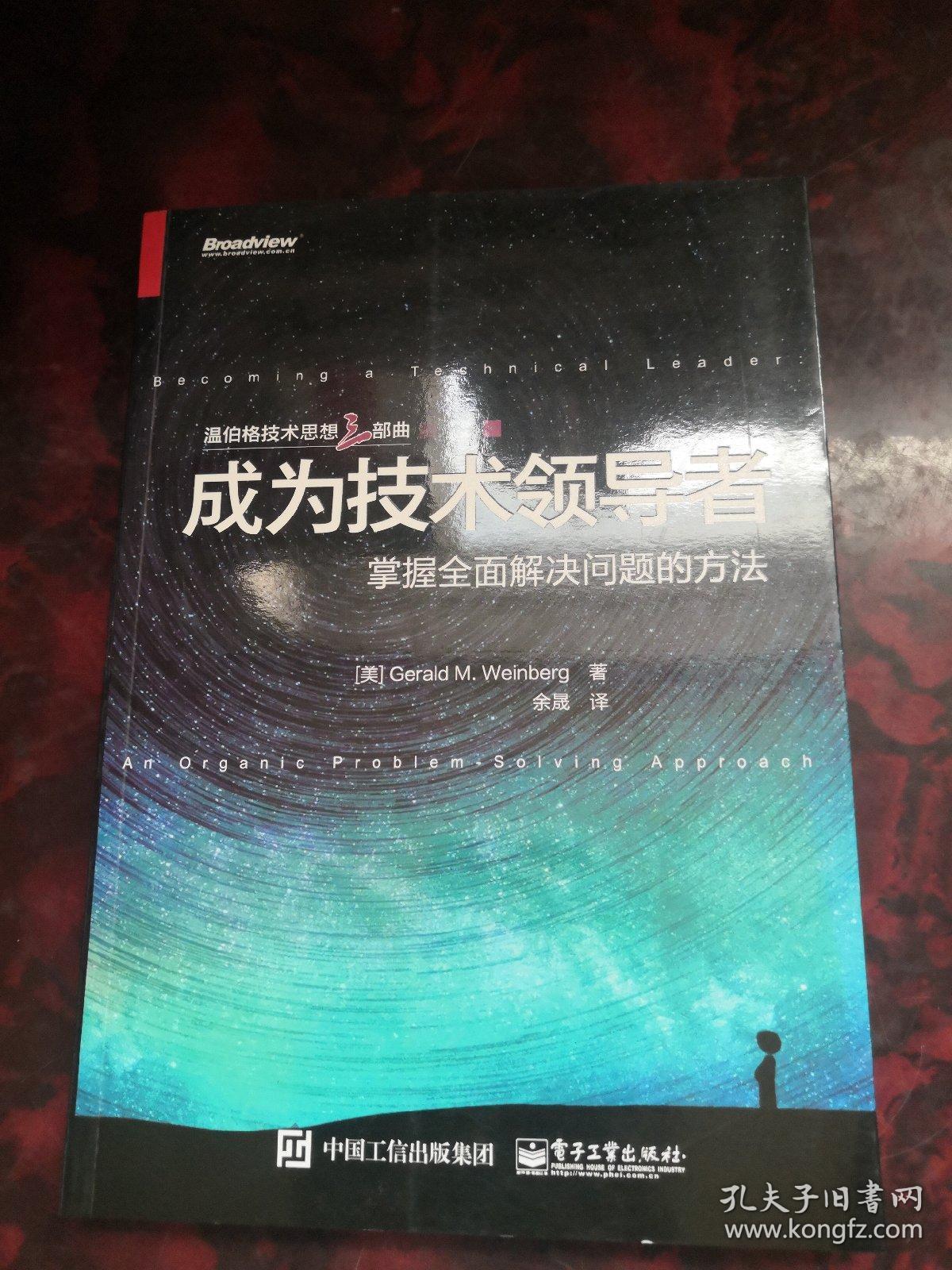 成为技术领导者:掌握全面解决问题的方法