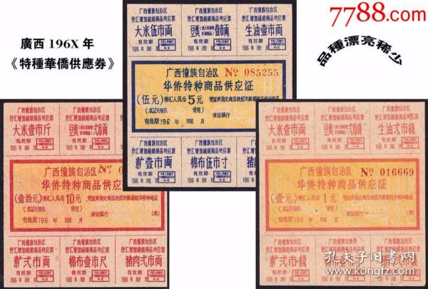侨汇运营,侨汇国际
