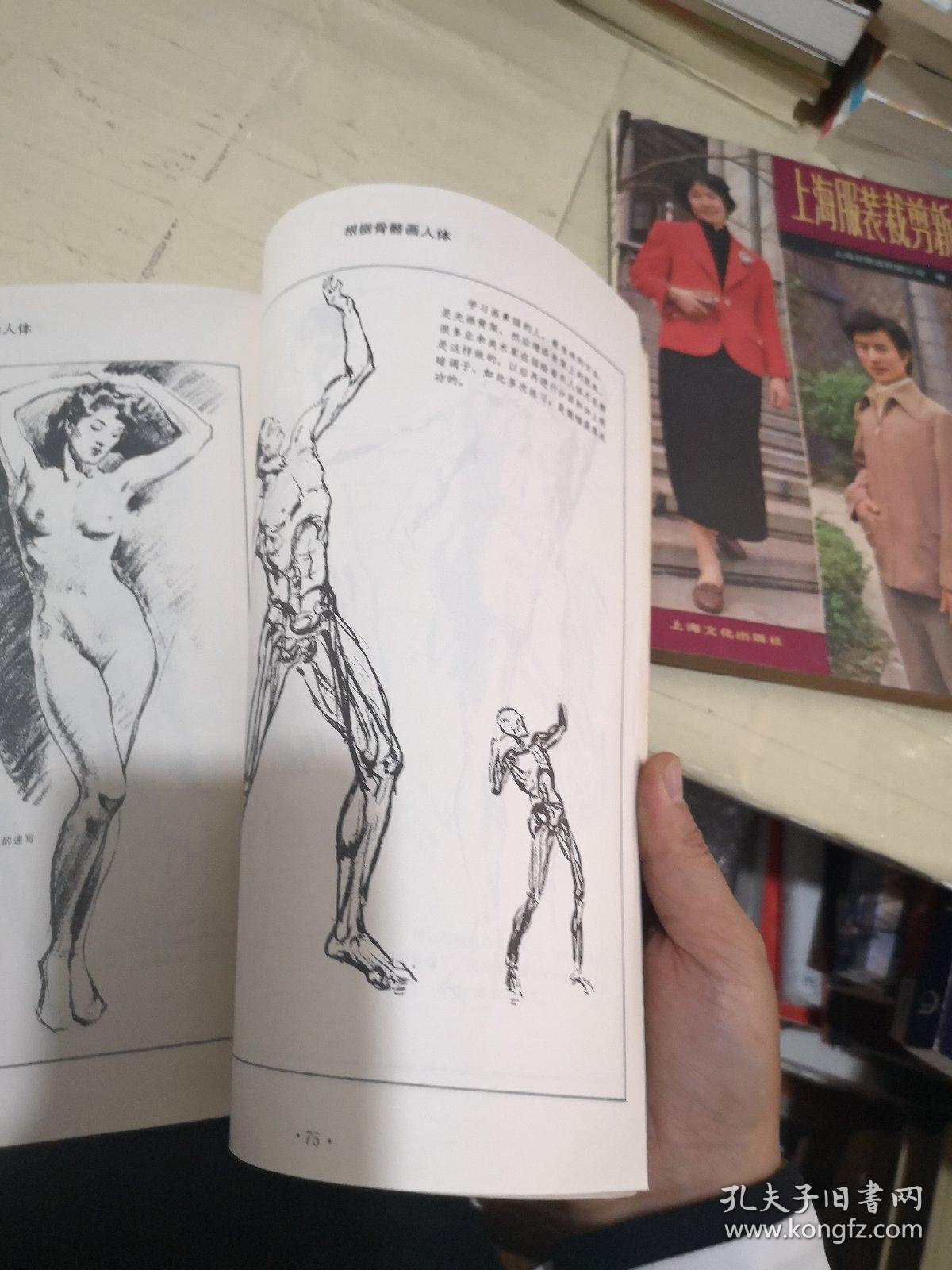 人体素描(美)安德鲁 路米斯