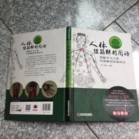 人体经筋解剖图谱图解学习人体经筋解剖及筋结点