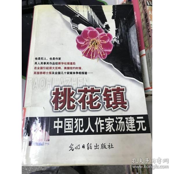 正版正版现货 桃花 镇/中国犯人作家汤建元汤建元 著
