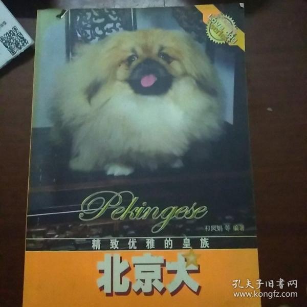 北京犬