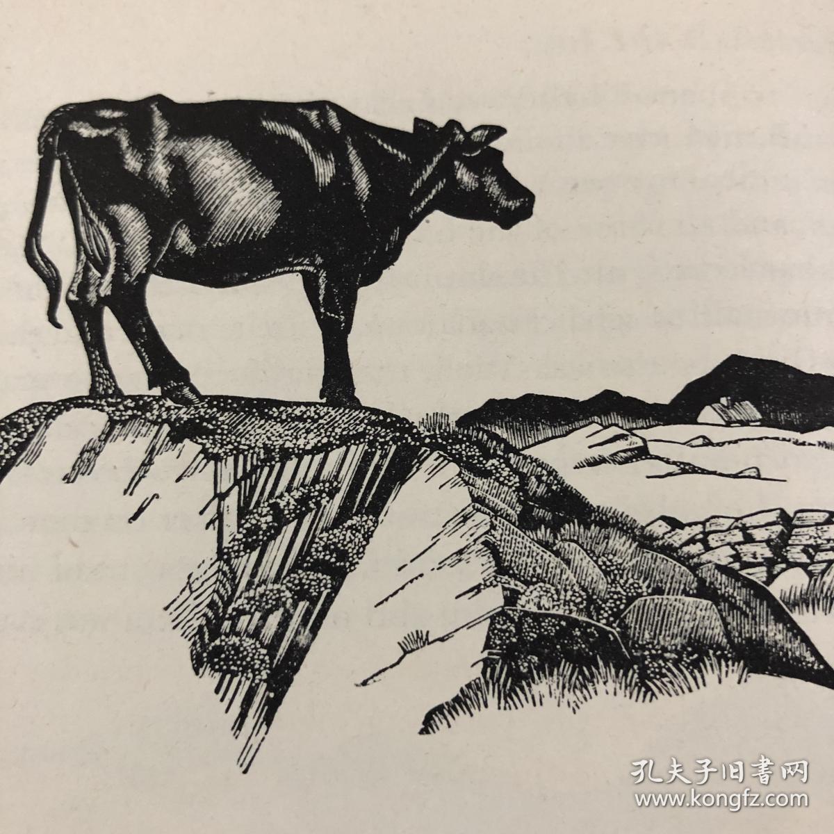 版画大师robet gibbings:lovely is the lee 可爱的李