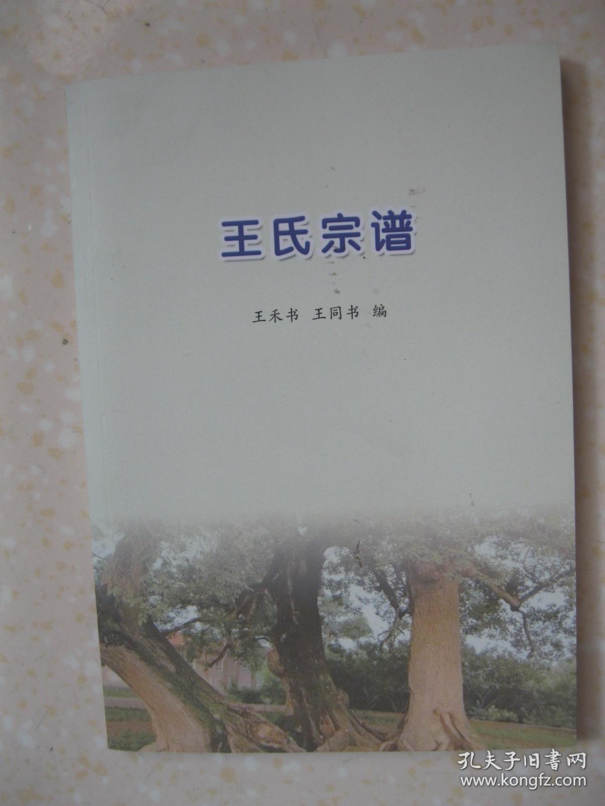 王氏宗谱王氏族谱新修本三槐堂始祖王公大恒于明洪武年间从姑苏阊门迁