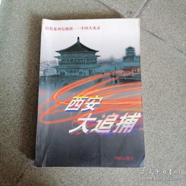 西安大追捕