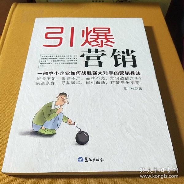 引爆营销:一部中小企业如何战胜强大对手的营销兵法