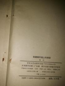 你是我灵魂上的朋友