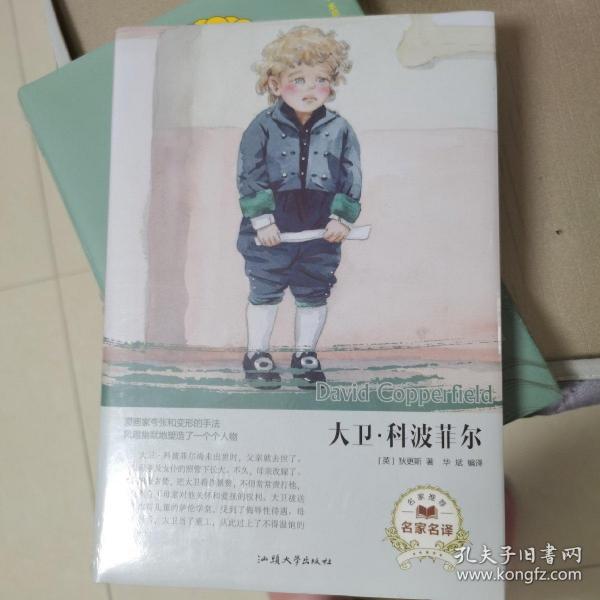 大卫.科波菲尔(名家名译)
