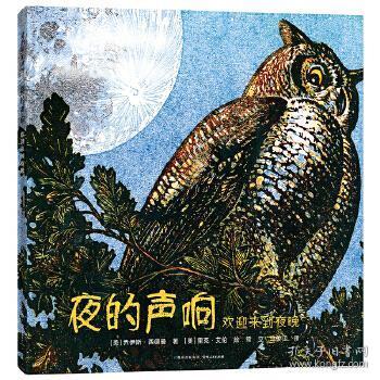 盛中国小提琴天山之春曲谱