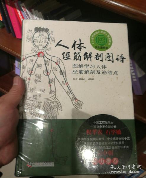 人体经筋解剖图谱图解学习人体经筋解剖及筋结点