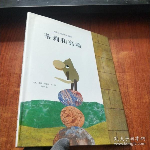 蒂莉和高墙