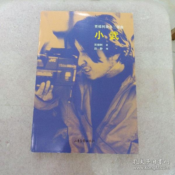 贾樟柯故乡三部曲:小武