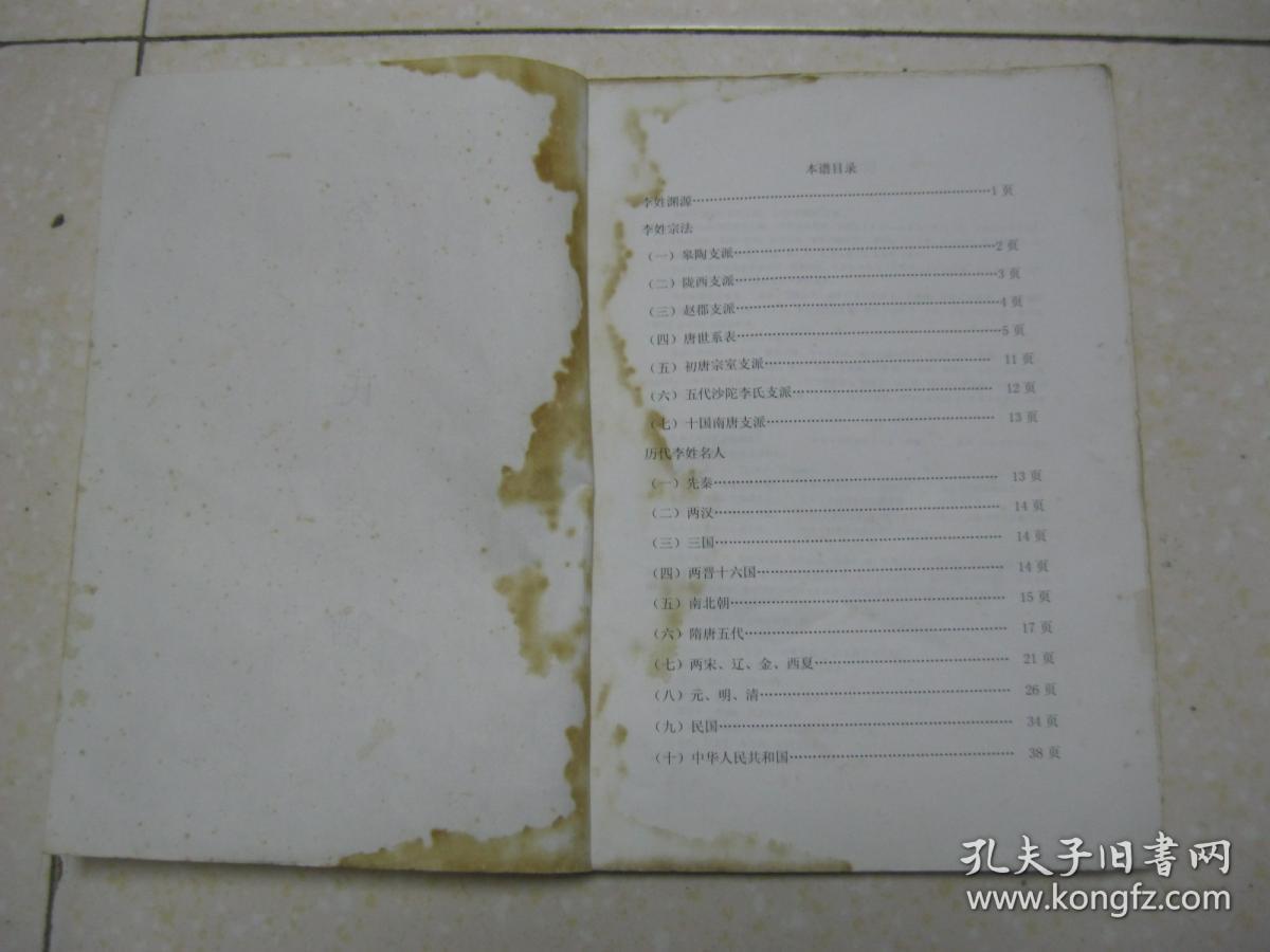 陇西支派,赵郡支派,唐世支派,初唐宗室支派,五代沙陀李氏支派,十国