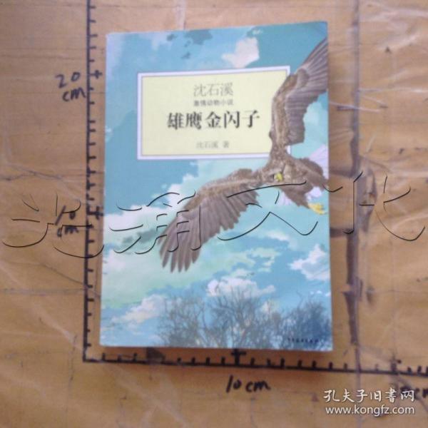 雄鹰金闪子[id:660131#211a7]