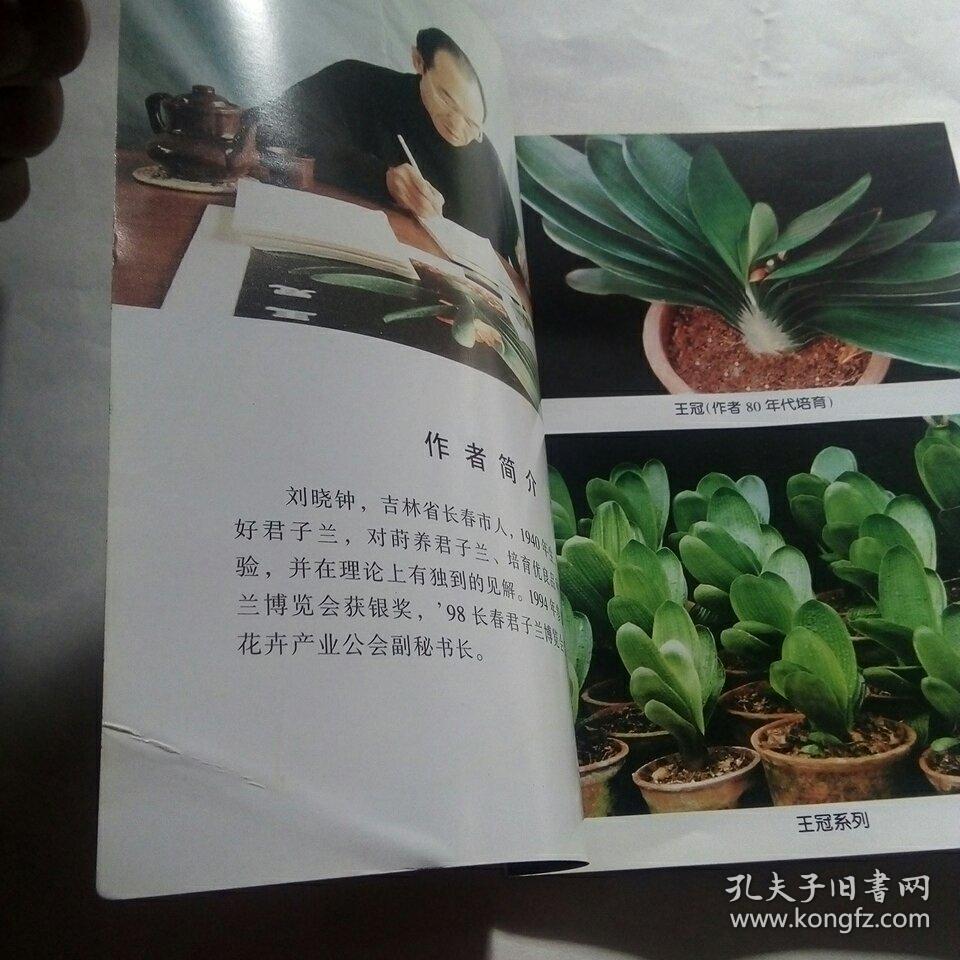 长春君子兰与科学莳养_刘晓钟_孔夫子旧书网