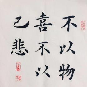 不以物喜,不以己悲:范仲淹传(历史传记小说丛书)