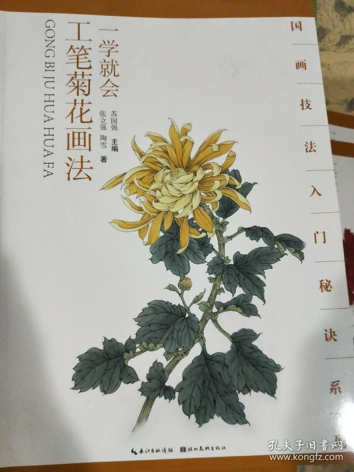 国画技法入门秘诀系列:一学就会工笔菊花画法