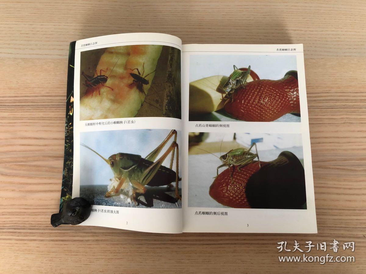 蝈蝈·蟋蟀经谱_吴继传_孔夫子旧书网