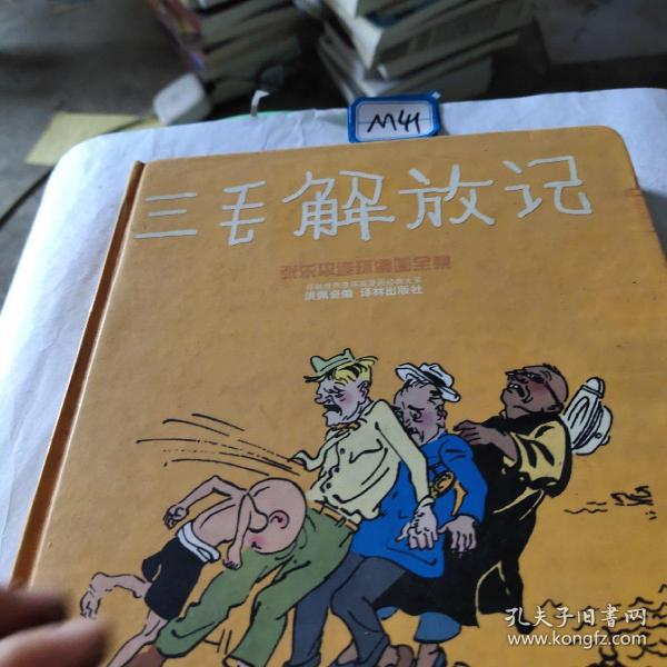 三毛解放记(精装)
