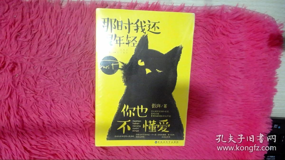 那时我还很年轻,你也不懂爱