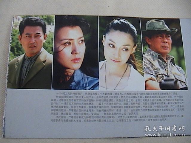 王志飞,史兰芽,柏寒,刘之冰《英雄泪 官方3页3面海报