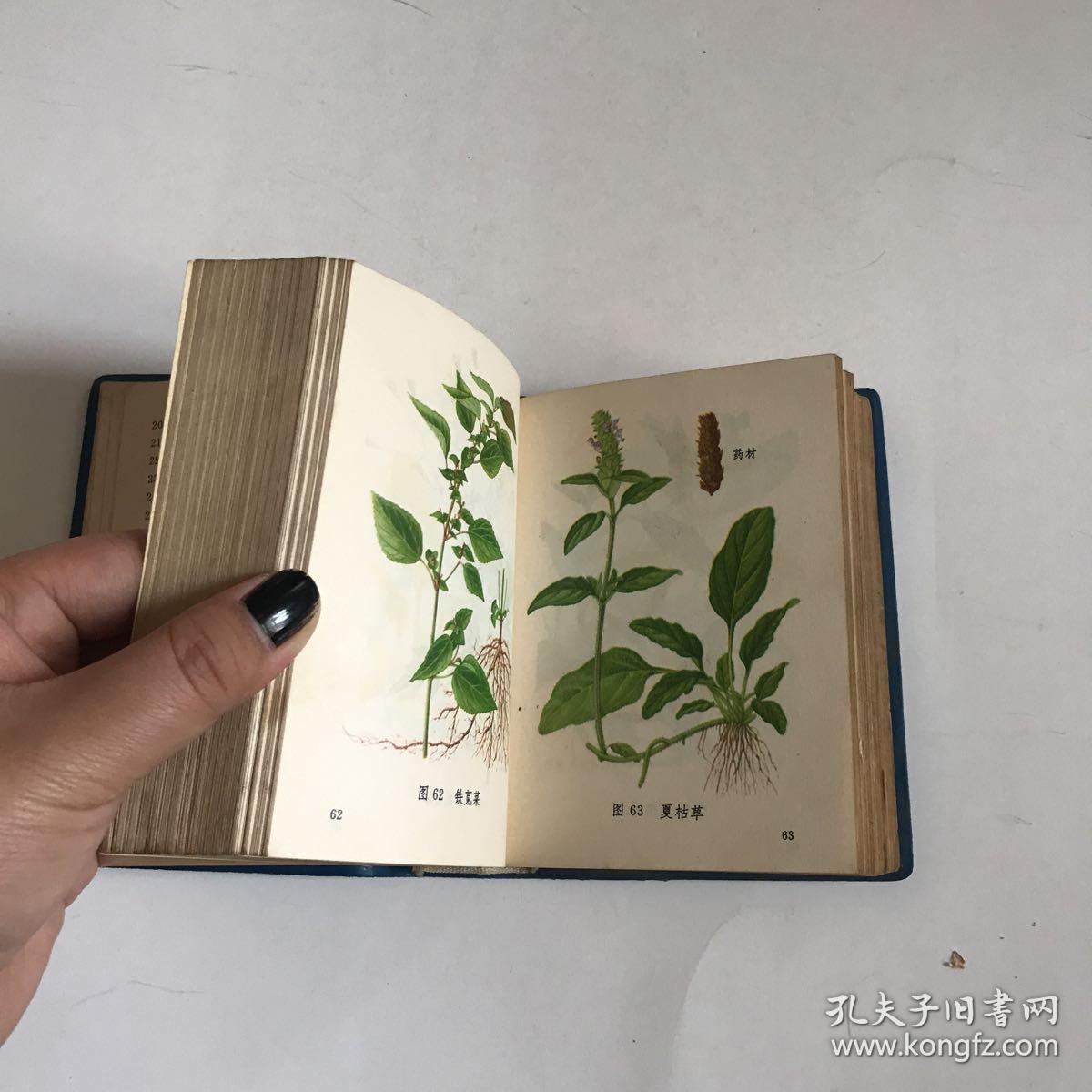 常用中草药图谱【本书收载常用中,草药共240种.