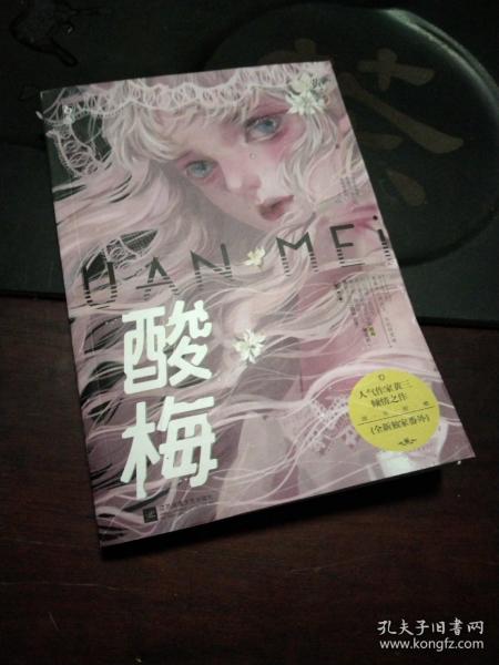 《酸梅》低价购书_黄三;魅丽文化_文学_孔网