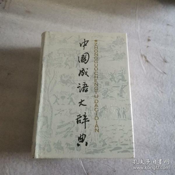 大什么词成语_什么词是成语(3)