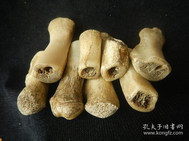 八块大猫骨