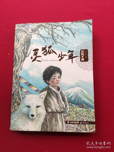 灵狐少年