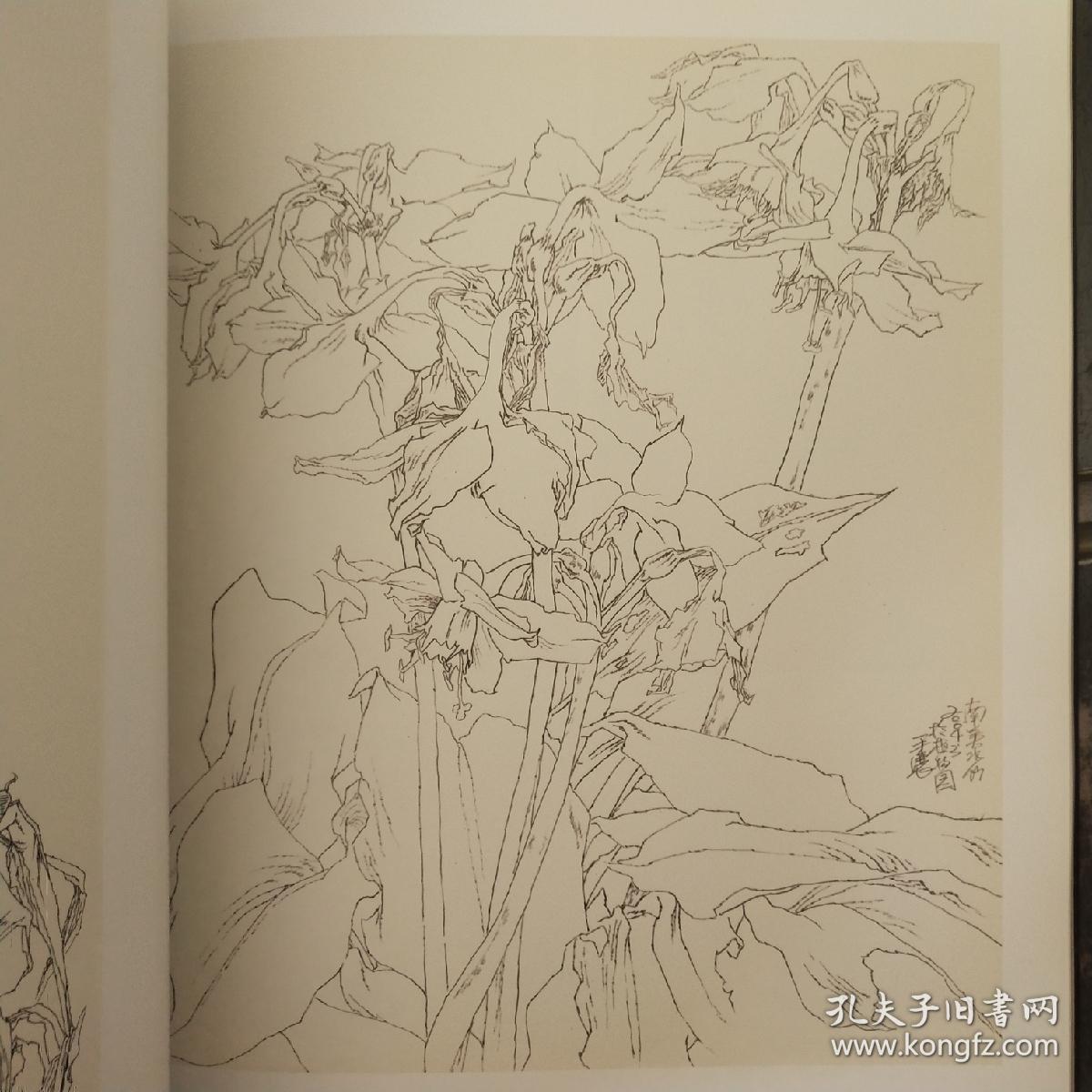 情系西双版纳全国白描写生作品展画集