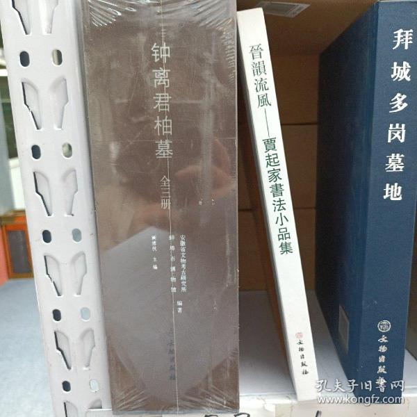 钟离君柏墓(全三册)