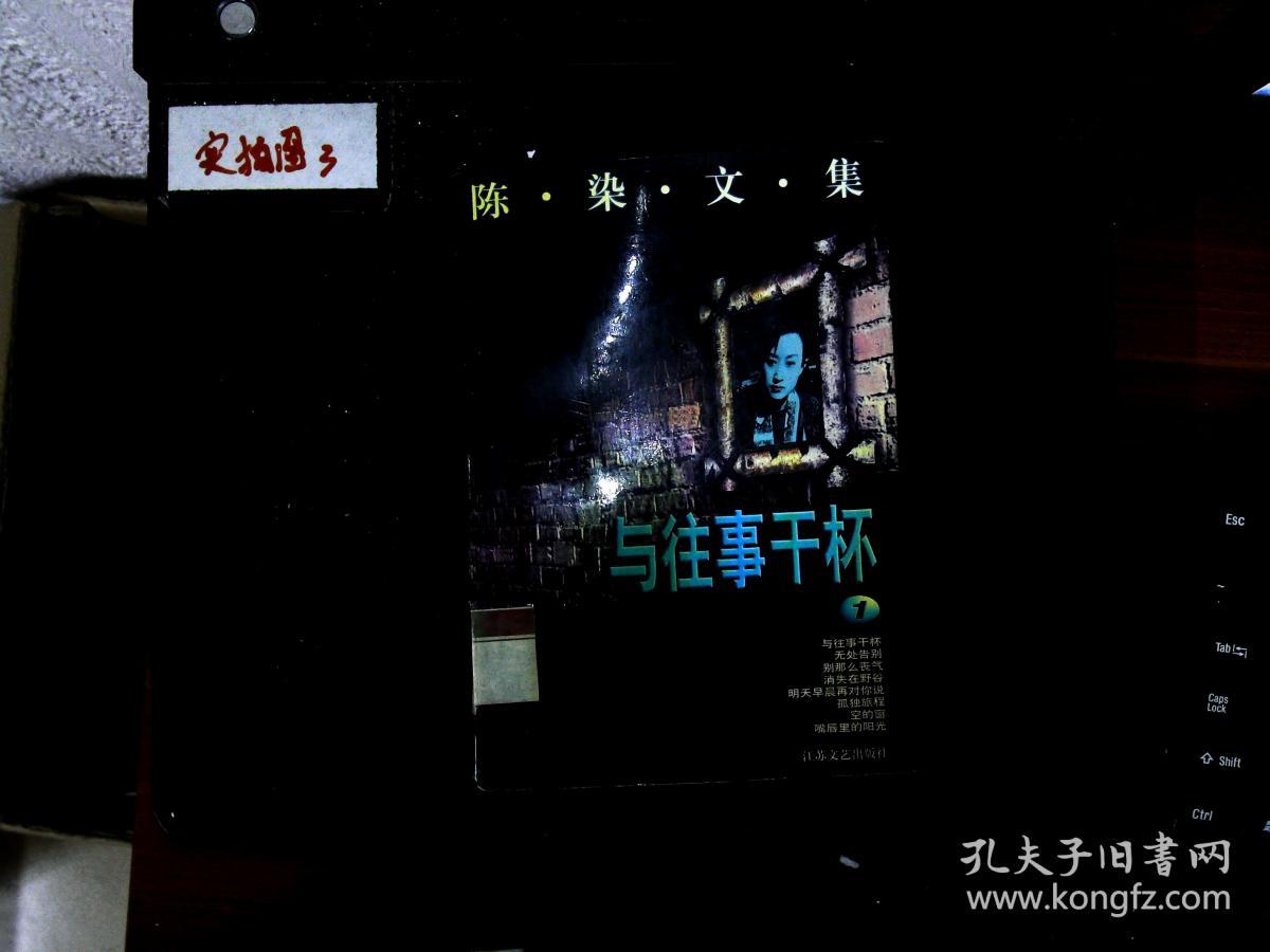 陈染文集1 与往事干杯
