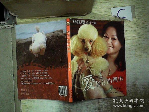 《爱仔仔的理由》低价购书_杨红樱 著;周京 摄影_童书