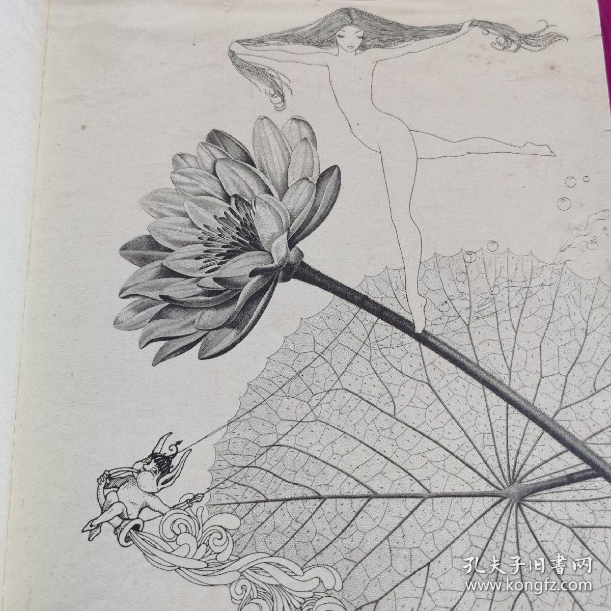 睡莲花下的奇书