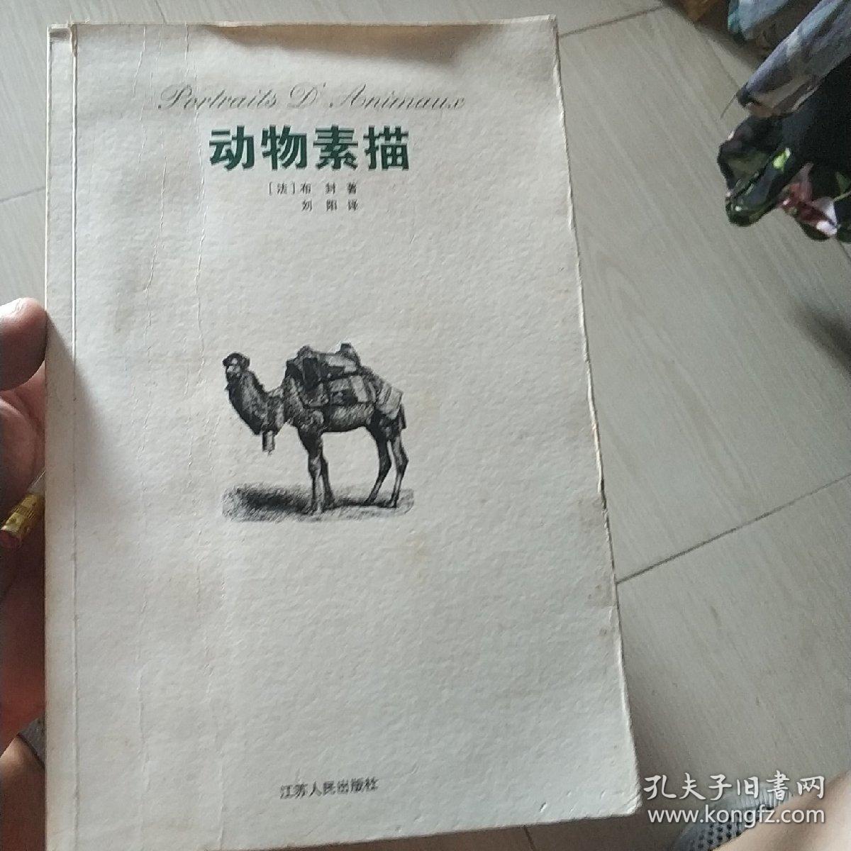 动物素描