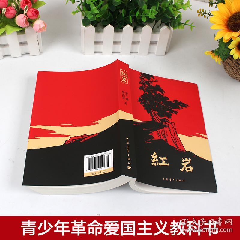 青少年革命爱国主义教科书 解放战争题材初高中生课外阅读书籍畅销书