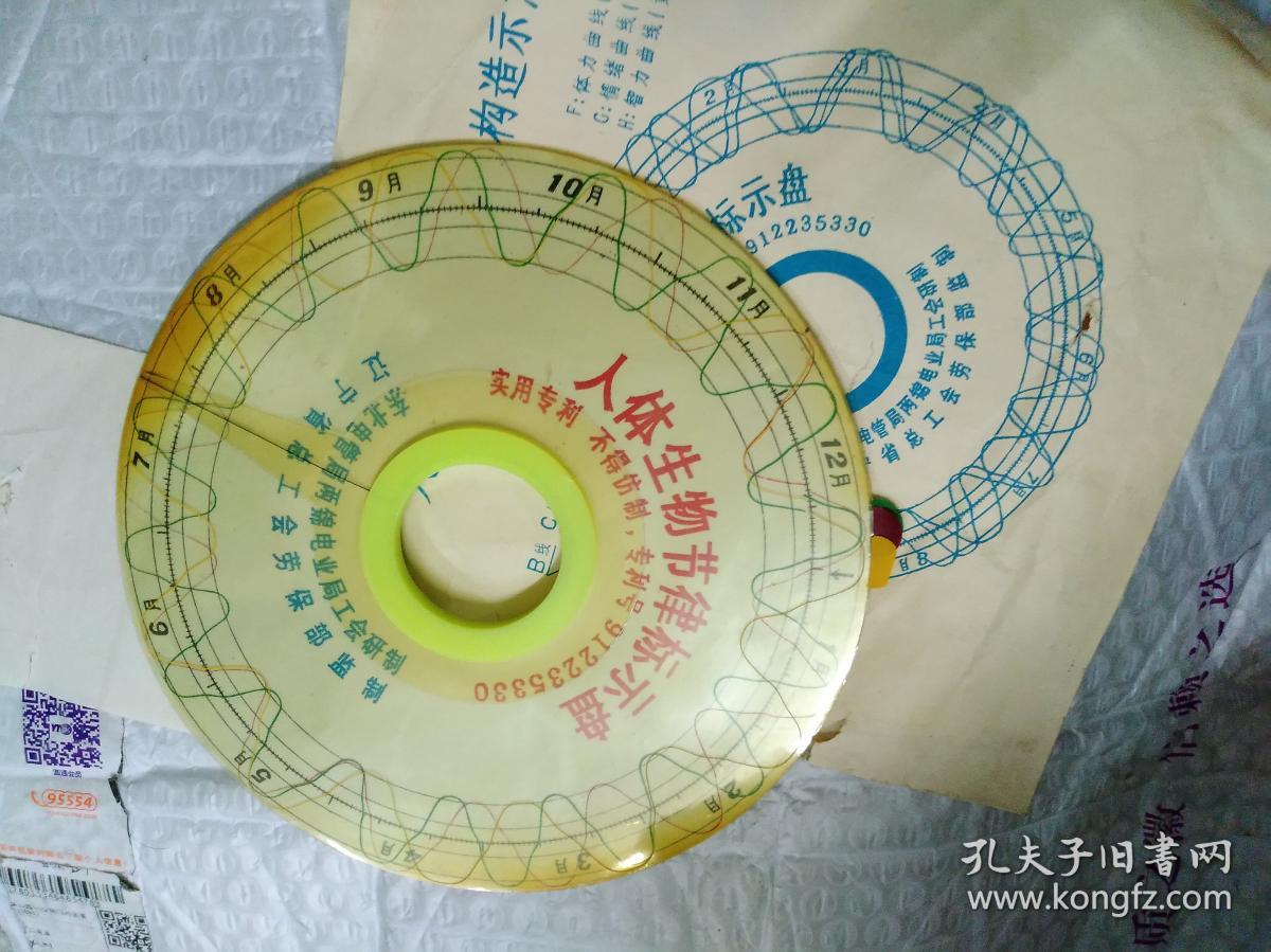 人体生物节律标示盘构造示意图