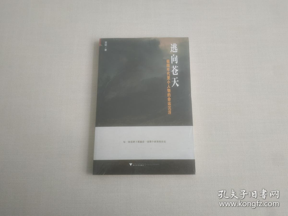 逃向苍天:极端年代里小人物的命运沉浮(书品如图)
