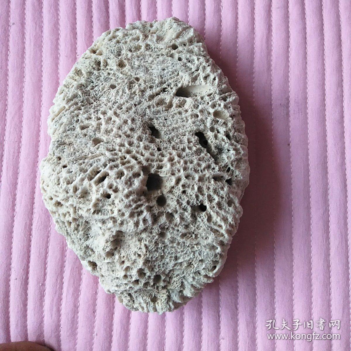 纯天然珊瑚石海石花,形状独特独一无二喜欢朋友不要错过
