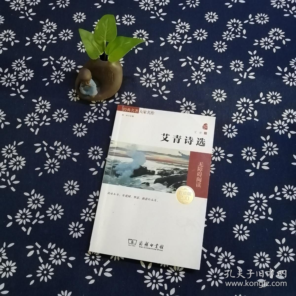 经典名著 大家名作:艾青诗选(素质版)