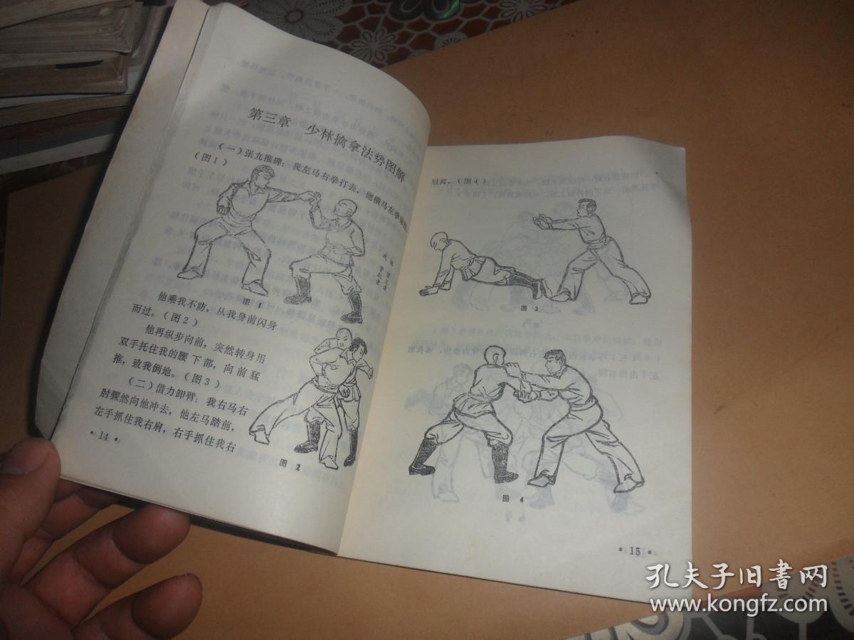 少林擒拿法 (少林武术集锦)