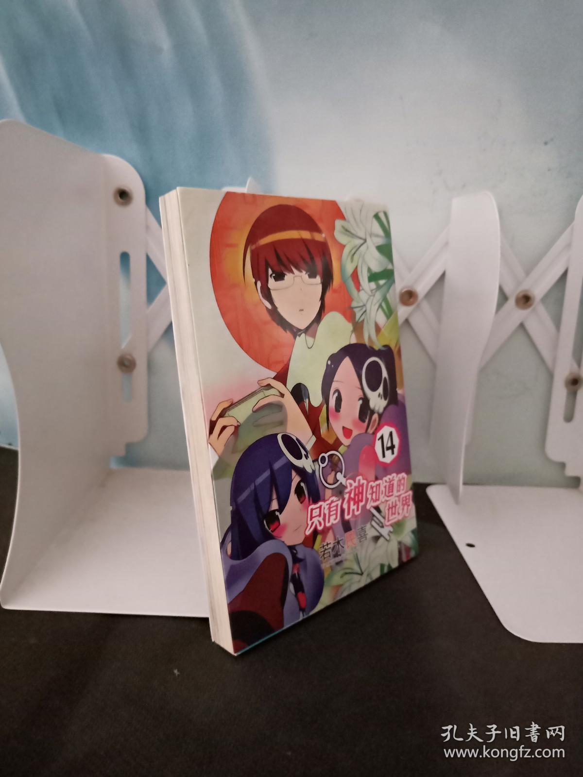 只有神知道的世界 14 --若木民喜漫画