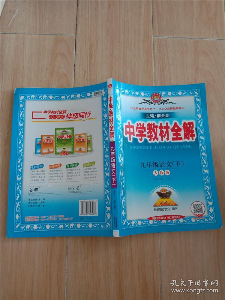 中学教材全解 九年级语文下 人教版