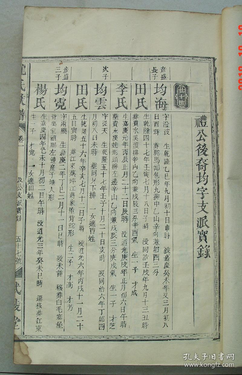 龙氏族谱 武陵堂 宣统元年 大字大开本 疑似不是全套