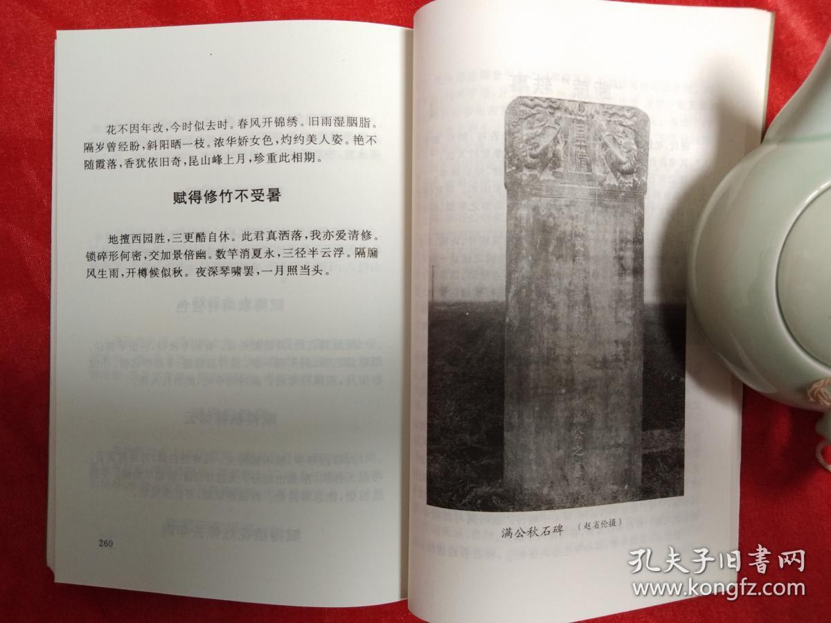 满秋石诗选
