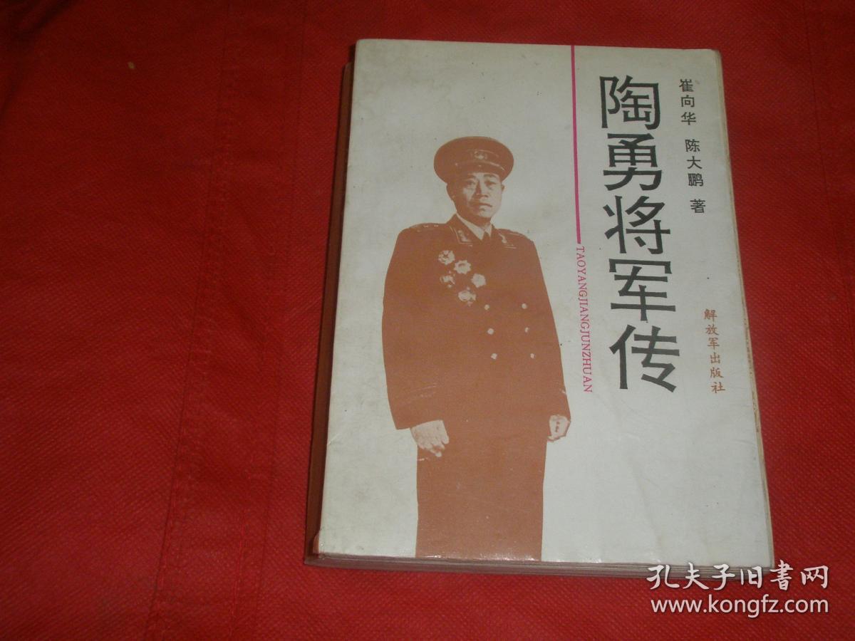 陶勇将军传