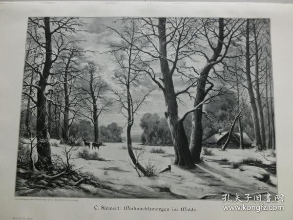 05cb7ad0276225_n.jpg